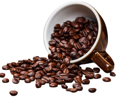 Bcfb8884f3def75c3fd7789af3426670 removebg preview