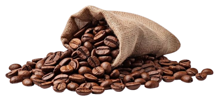 C26d50cfe5814a2ab8ee3d281ab371b9 removebg preview